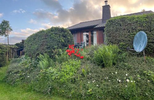 Bromskirchen House | Blockhaus FerienZauber III