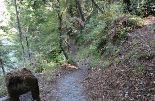 Garberville Apartment | "Blue Heron" Suite River Access In Redwoods WiFi
