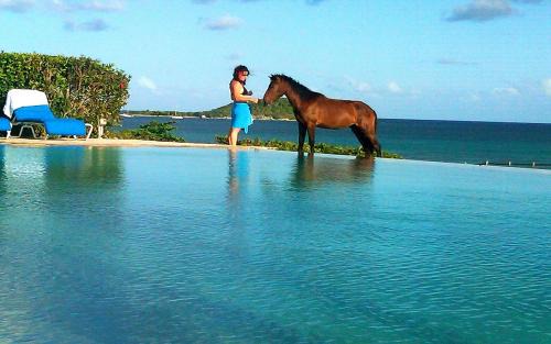 Esperanza Hotel | Blue Horizon Boutique Resort