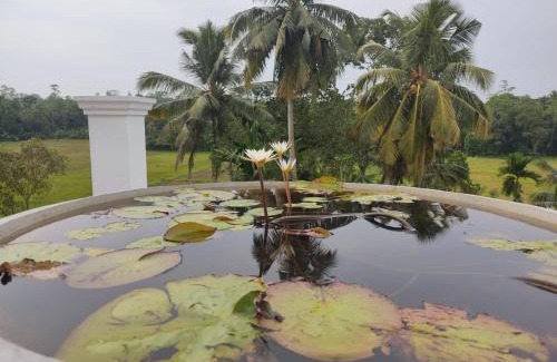 Ambalangoda Villa | Blue Lotus Villa & Spice Garden