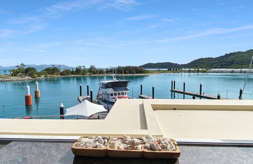 Nelly Bay Apartment | Blue on Blue Superior Studio Room 1271