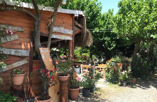 Cirali House | Blue Paradise Pension