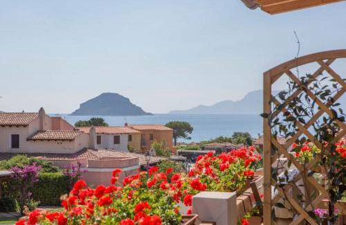 Baia Caddinas Apartment | Blue Portrait House