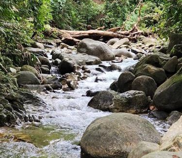 Larut Villa | Blue Robbin Homestay