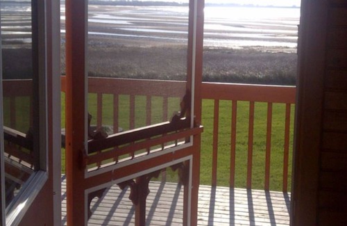 Borden-Carleton Cottage | "Blue Suede View" cottage overlooking the Northumberland Strait