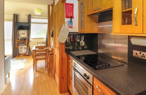 Chapel Stile Cottage | Bluebells