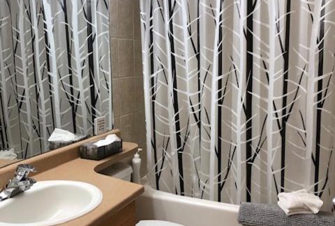 Silver Star Mountain Apartment | Bluebird Lodge