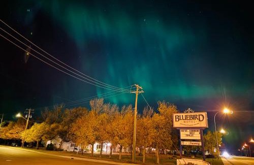 Claresholm Hotel | Bluebird Motel