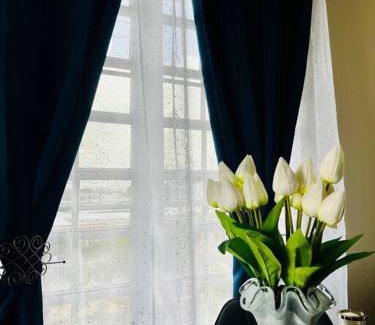 Cangrejo Arriba Apartment | BlueBreeze - Cozy Apartment Near Airport