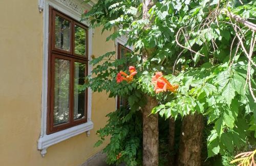 Koszeg Apartment | Blues Ryokan