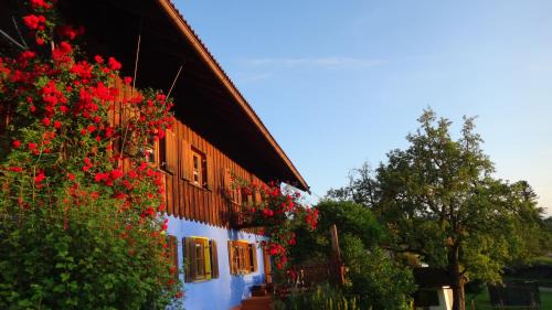 Schwanden Apartment | Blumenoase Allgäu