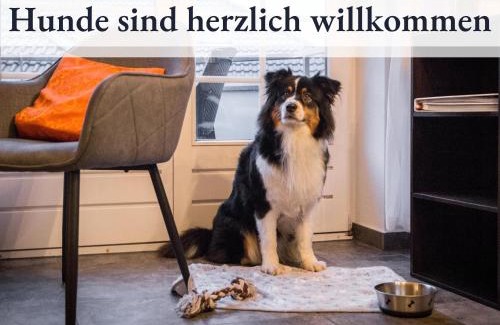 Schneverdingen Apartment | Blumenvilla 6 mit Küche, Balkon, Sauna und Garten