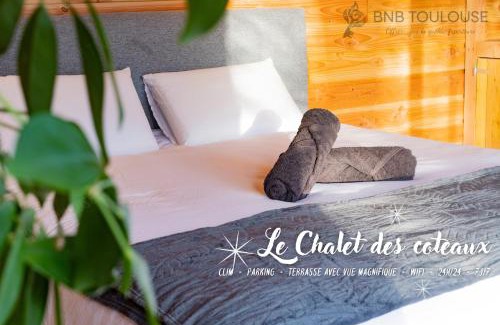 Castelginest Apartment | BNB TOULOUSE - Le Chalet des coteaux - Cadre magnifique - WiFi - Parking