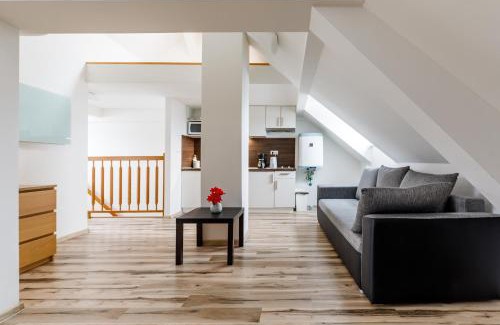 Bozi Dar Apartment | Boží Apartments by Mountain ways