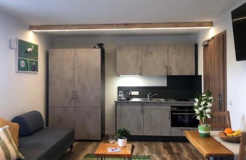 Sulz Apartment | Boardinghaus Kastlmühle