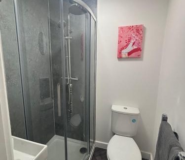 Sheffield Apartment | Boateng livings