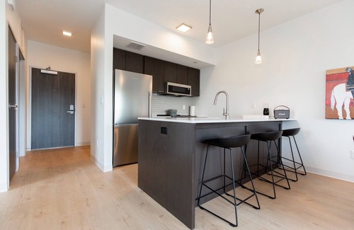 Bozeman Condo | Bobcat Chic: Downtown Bozeman