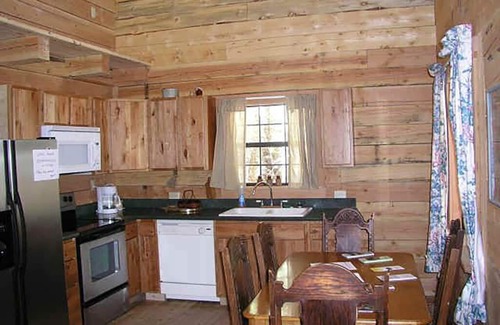 Lake City House | Bobcat Log home 4 bd 2 bth on the river waterfall view porch ATV drive-in/out
