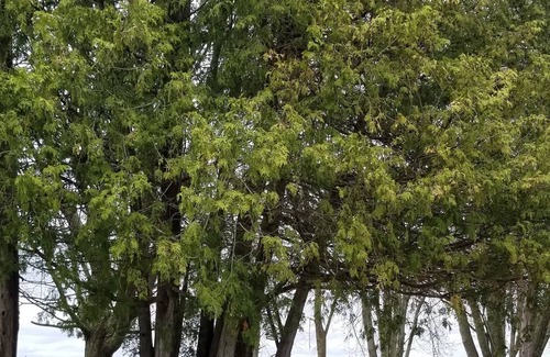 Bobcaygeon House | Bobcaygeon Waterfront Access Big Lot