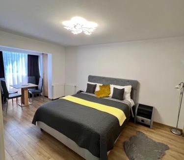 Turda Apartment | Boby s Studio with Free Parking