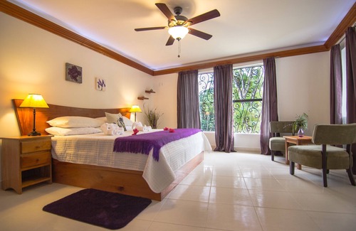 Hopkins Hotel | Bocawina Rainforest Resort & Adventures