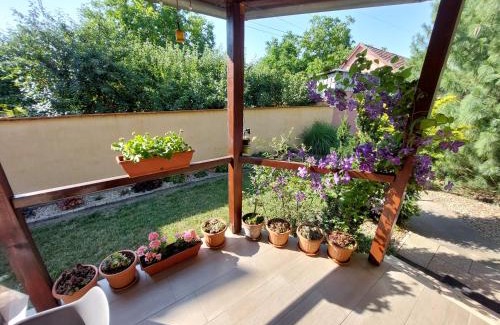 Gyula Apartment | Bodza apartman