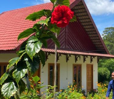Traeng Trayueng House | Boeung Kirirum Lumhae Resort