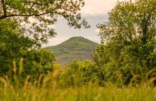 Saint-Diery House | Bois aux Cheirilles - 15min Murol - Puy de Dome