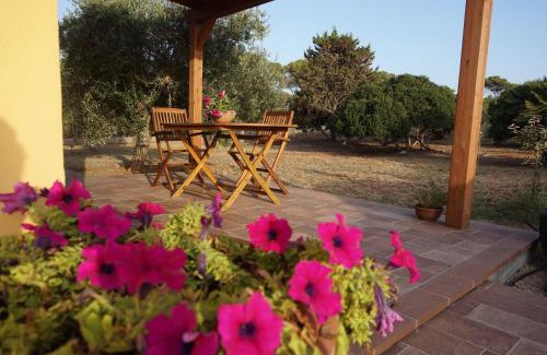 Alghero Apartment | Bombarde Natural House