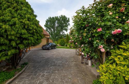 Szentendrei House | Bonifert Vendégház
