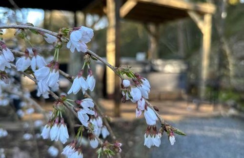 Kirtlebridge House | Bonshaw Grange-Riverside Country Retreat, & HotTub