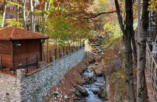 Brezovice Apartment | Bonvillas Riverside Apartments - Large Terrace With Forest View - Brezovica