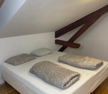 Grunerlokka House | Book a Room in Grunerløkka Oslo Sentrum