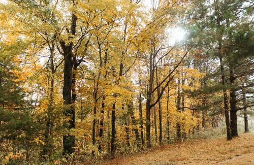 Pine Ridge House | "Boone's Bluff" - Humble & Cozy Stay in RRG/Auxier
