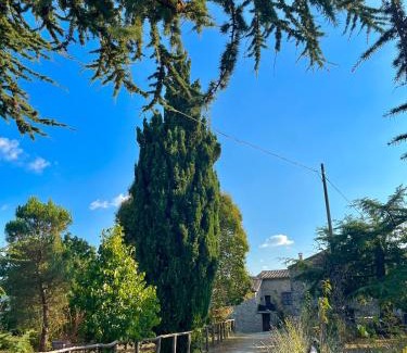Montieri House | Borgo Petraio