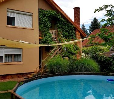 Balatonfoldvar Apartment | Borostyán Apartmann