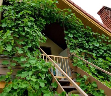 Balatonfoldvar Apartment | Borostyán Apartmann