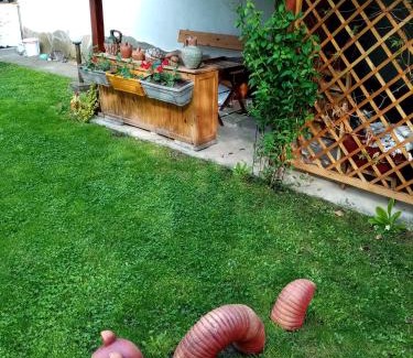 Tryavna House | Borova House