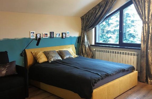 Borovets Apartment | Borovets Forest view (A56)