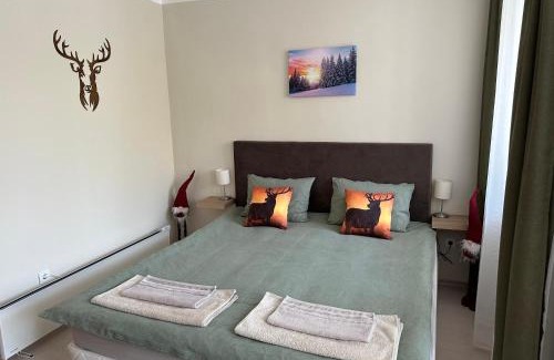 Borovets Apartment | Borovets Gardens Funky Fresh Studio by Joro