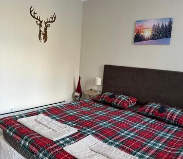 Borovets Apartment | Borovets Gardens Funky Fresh Studio by Joro