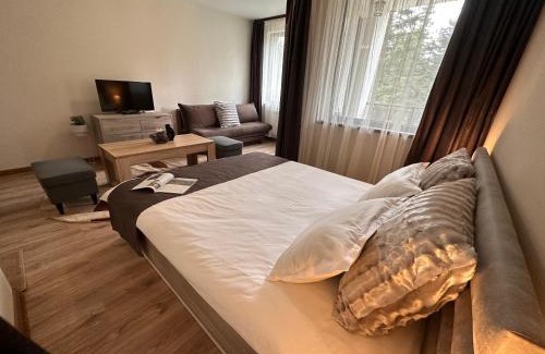 Borovets Apartment | Borovets Gardens Studio