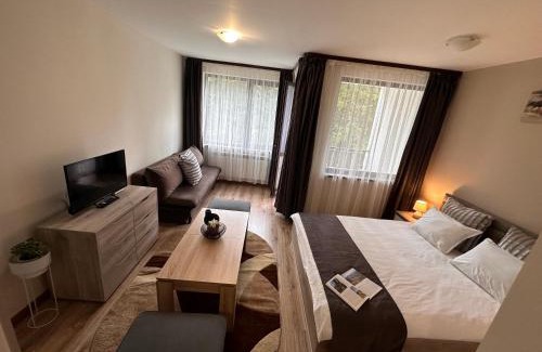 Borovets Apartment | Borovets Gardens Studio