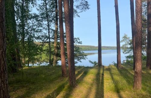 Brusy Other | Borowy Glamp więcej niż domki
