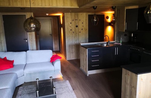 Aseral Cabin | Bortelid Booking