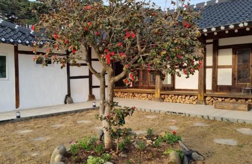 Boryeong House | Boryeong dalitteumyeonkkochipigo Hanok Stay