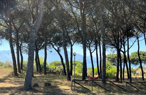Boscotrecase Bed & Breakfast | Bosco Mattavona