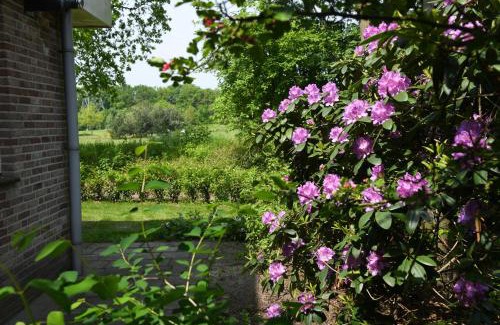Den Hout House | Boshuis Golfzicht "Wellness, Golf & Nature"
