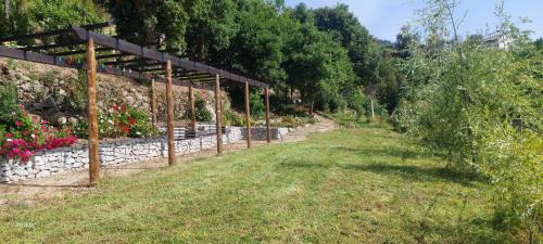 Baiao House | Bosque da Fantasia