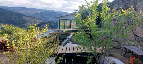 Baiao House | Bosque da Fantasia
